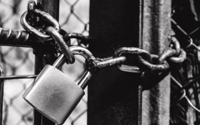 South Lanarkshire haulier goes into liquidation