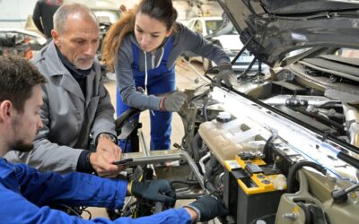 Government warned over apprenticeship reforms