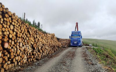 Money pumped in to improve forestry roads for Scottish timber hauliers